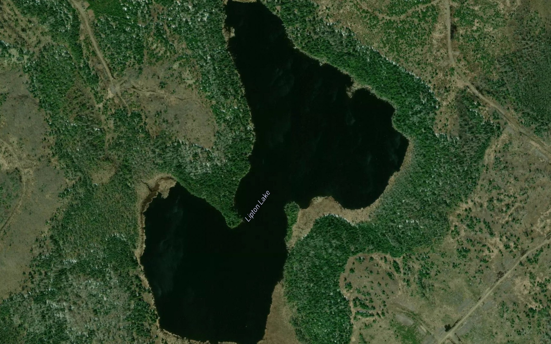 Satellite map of the Lipton Lake