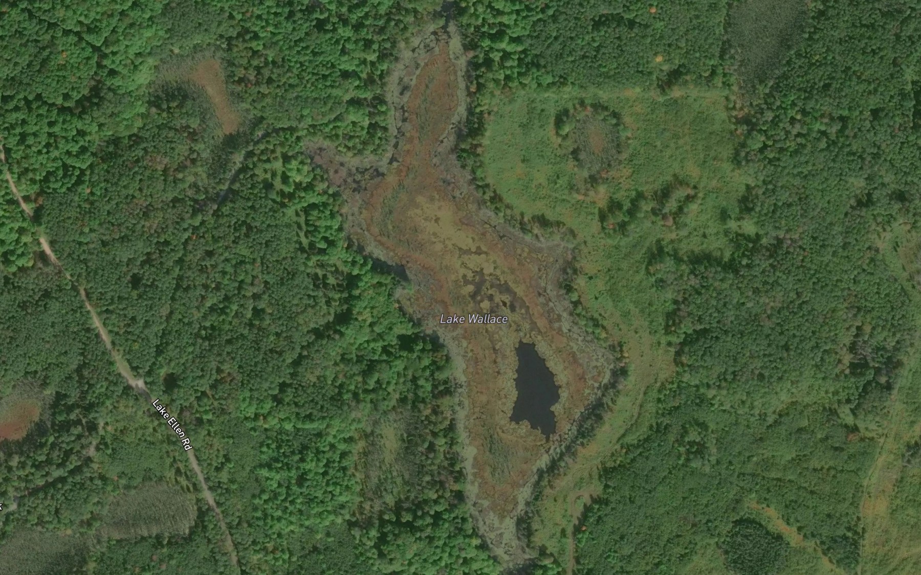 Satellite map of the Lake Wallace