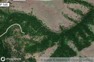 Buckhorn Spring