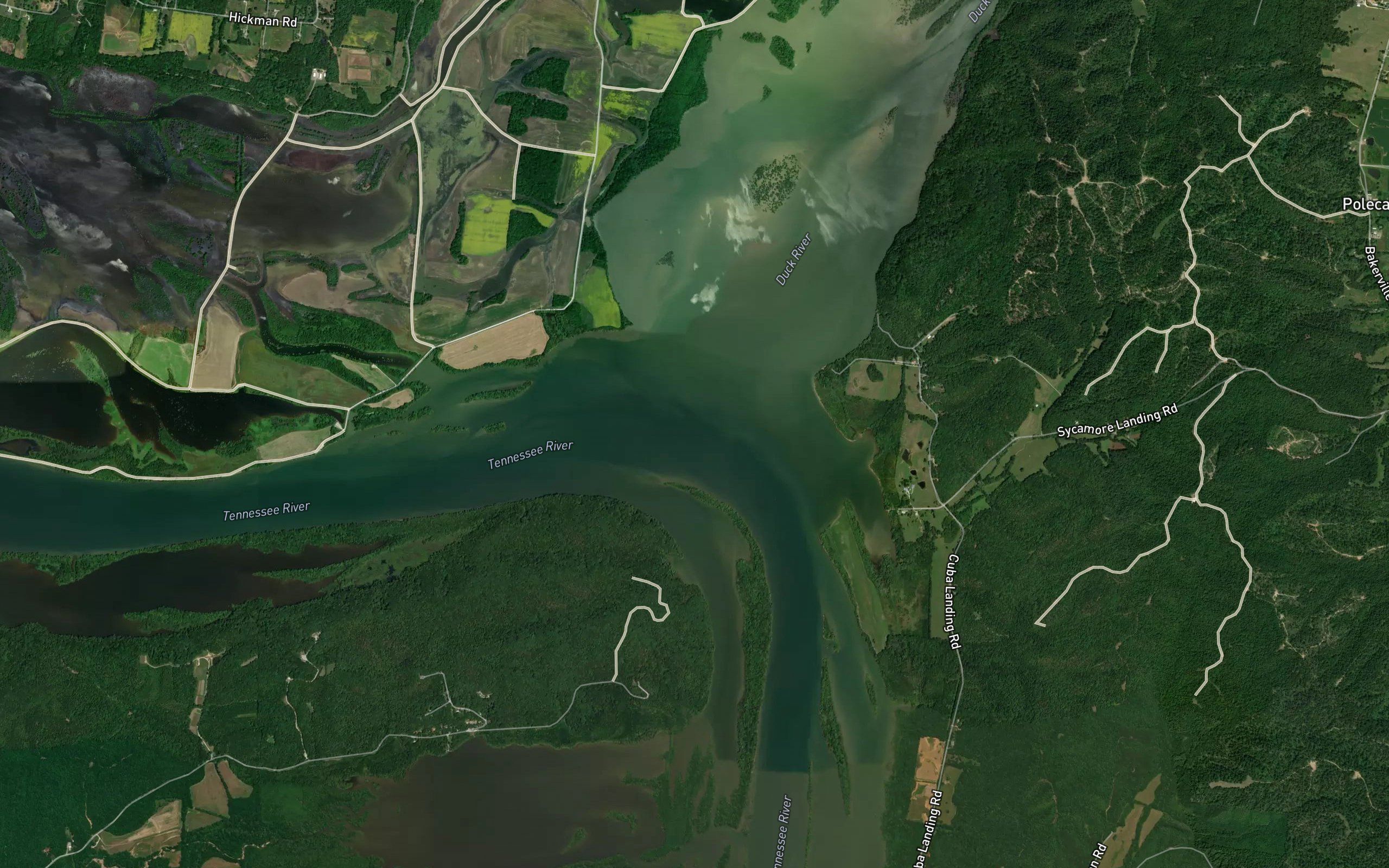 Duck River