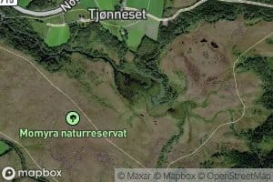 Tjorna