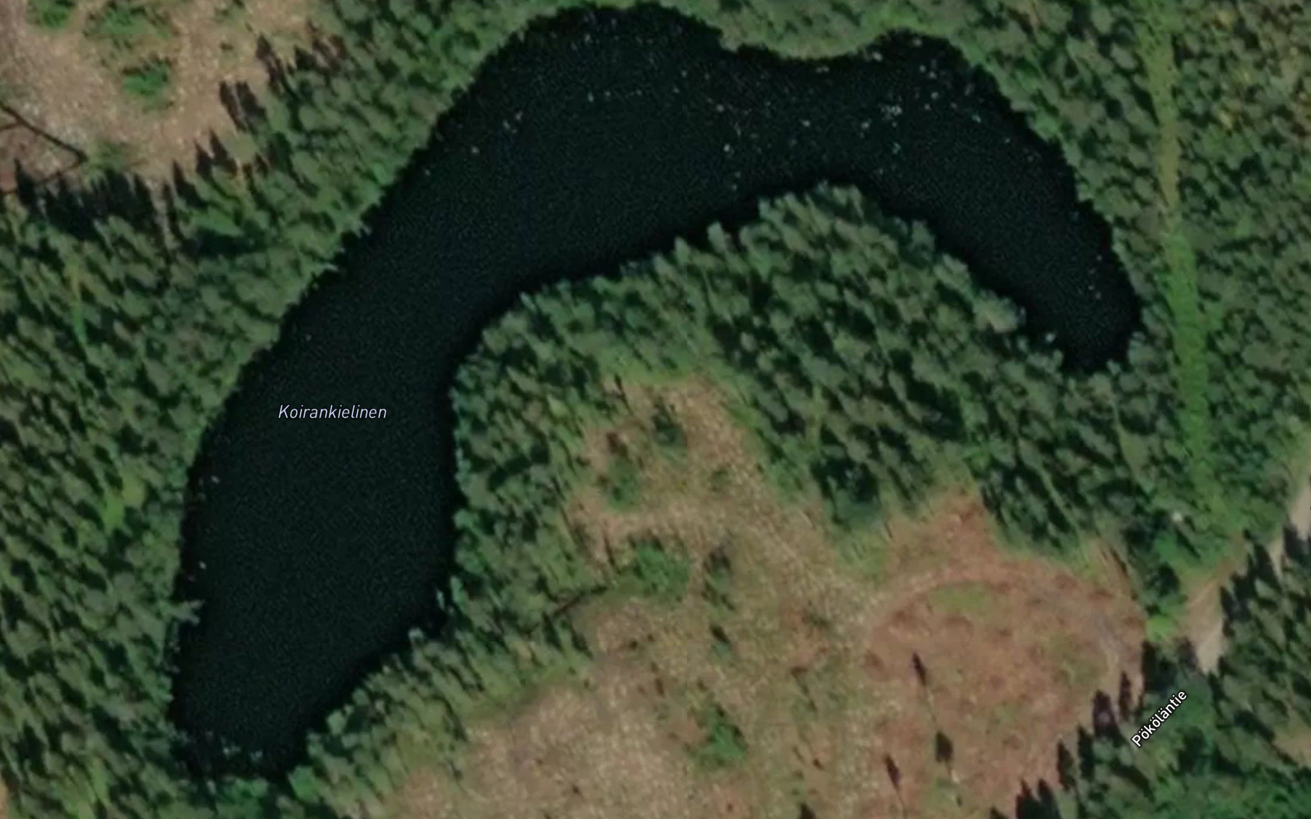 Koirankielinen