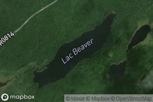 Lac Beaver