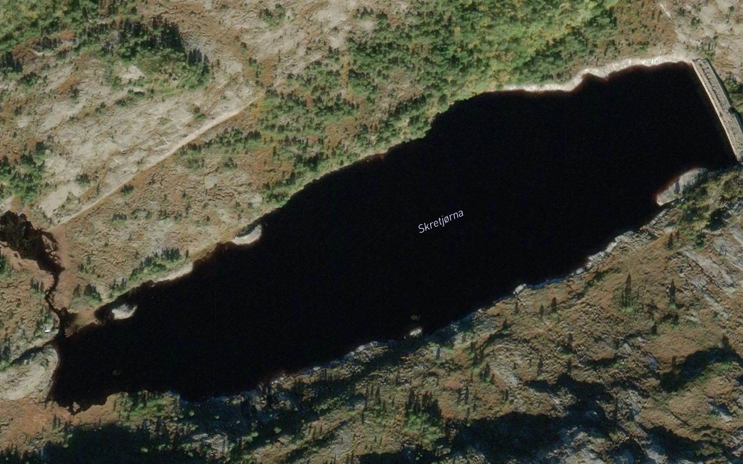 Skreatjorna