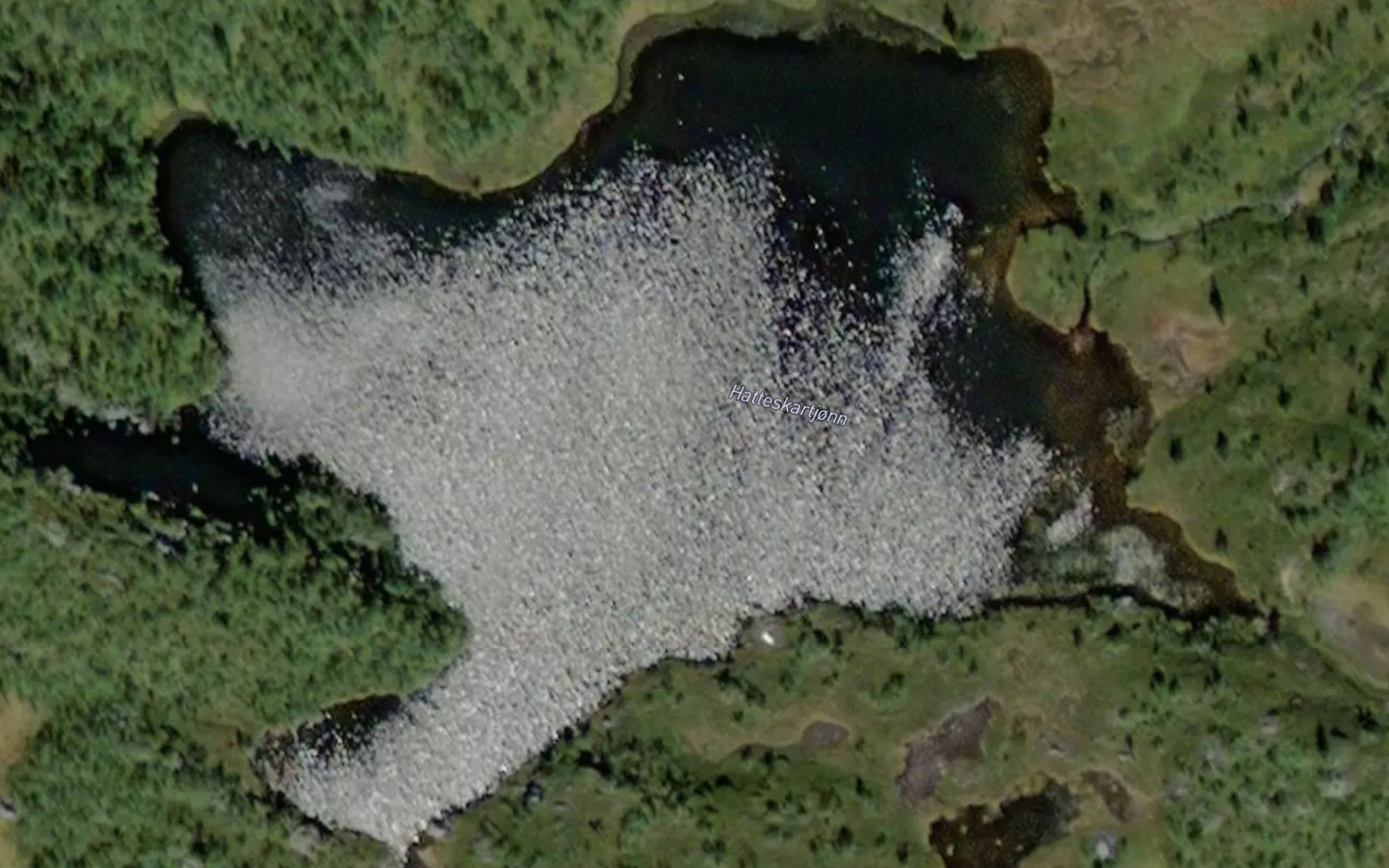 Hatteskardtjorn