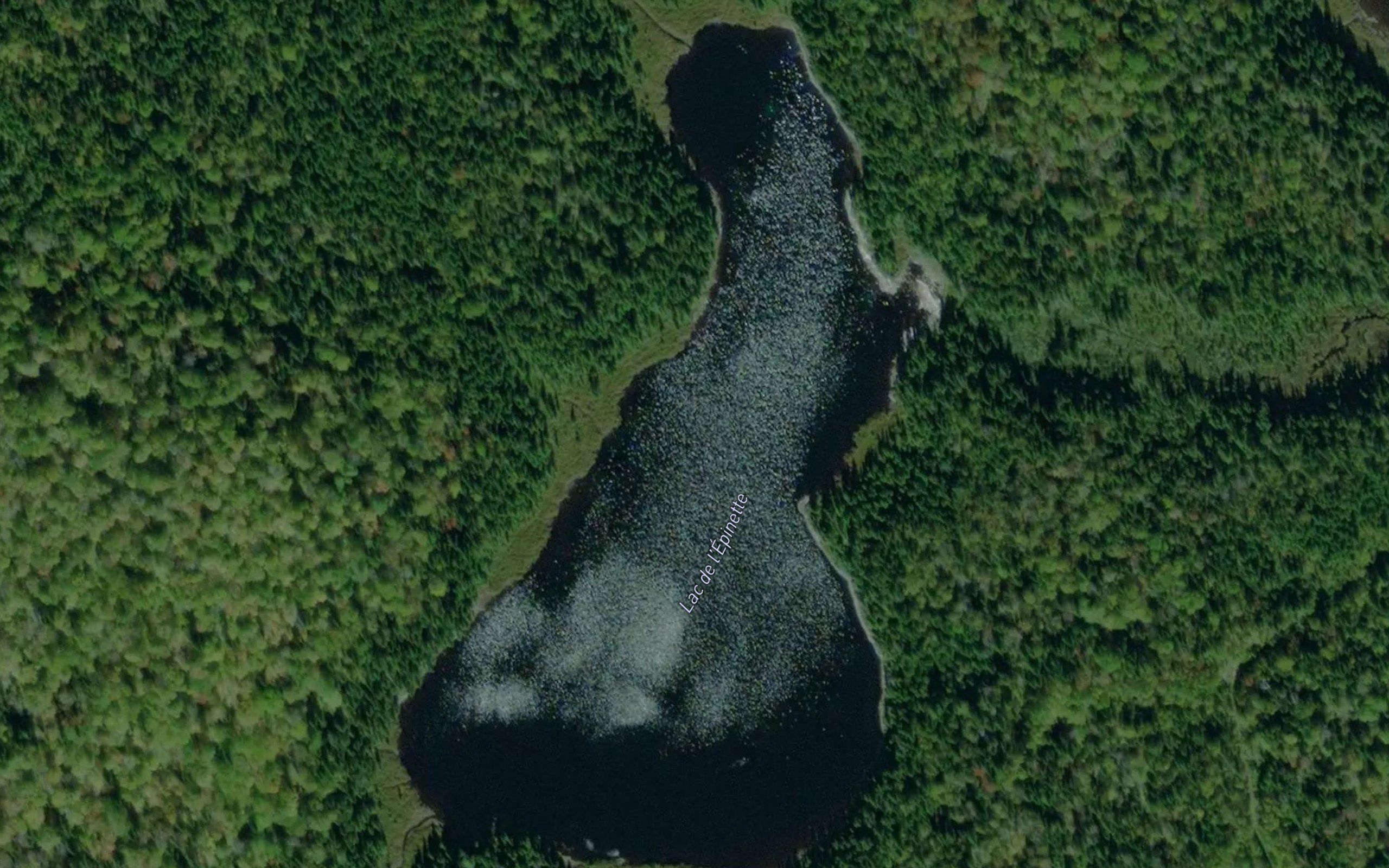 Lac de l'Epinette