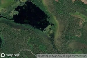 Sotkujoki