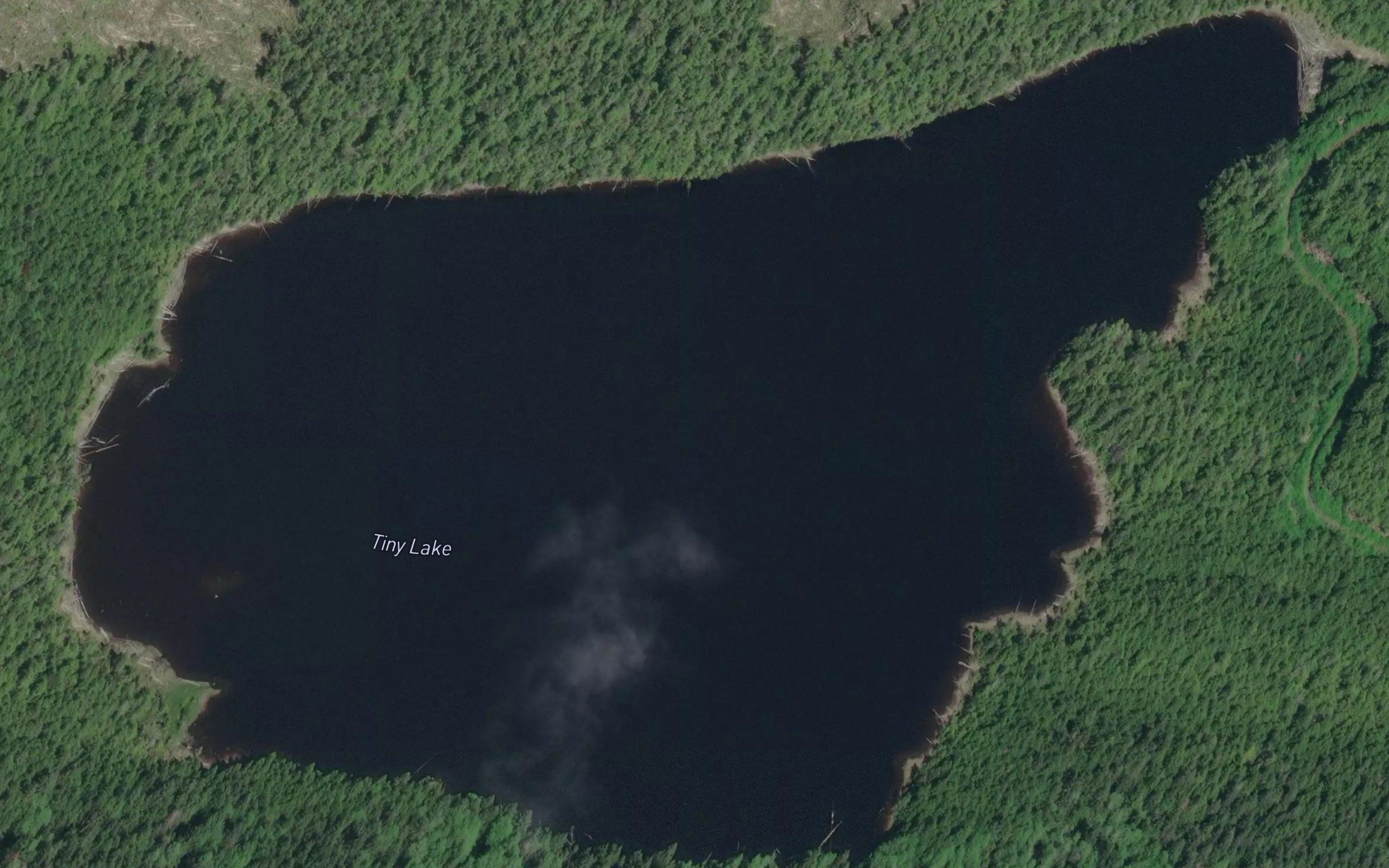 Tiny Lake