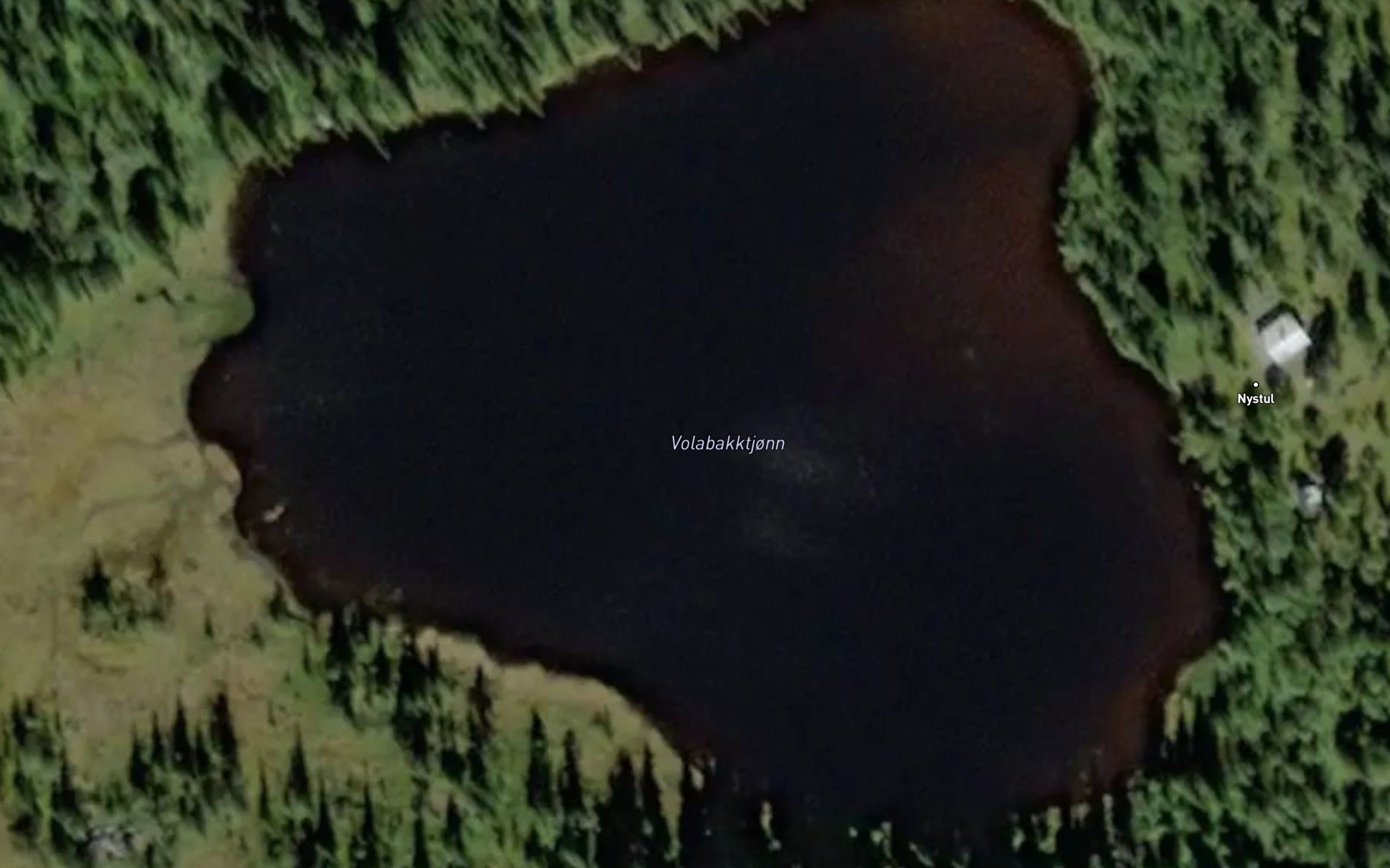 Volabakktjonn