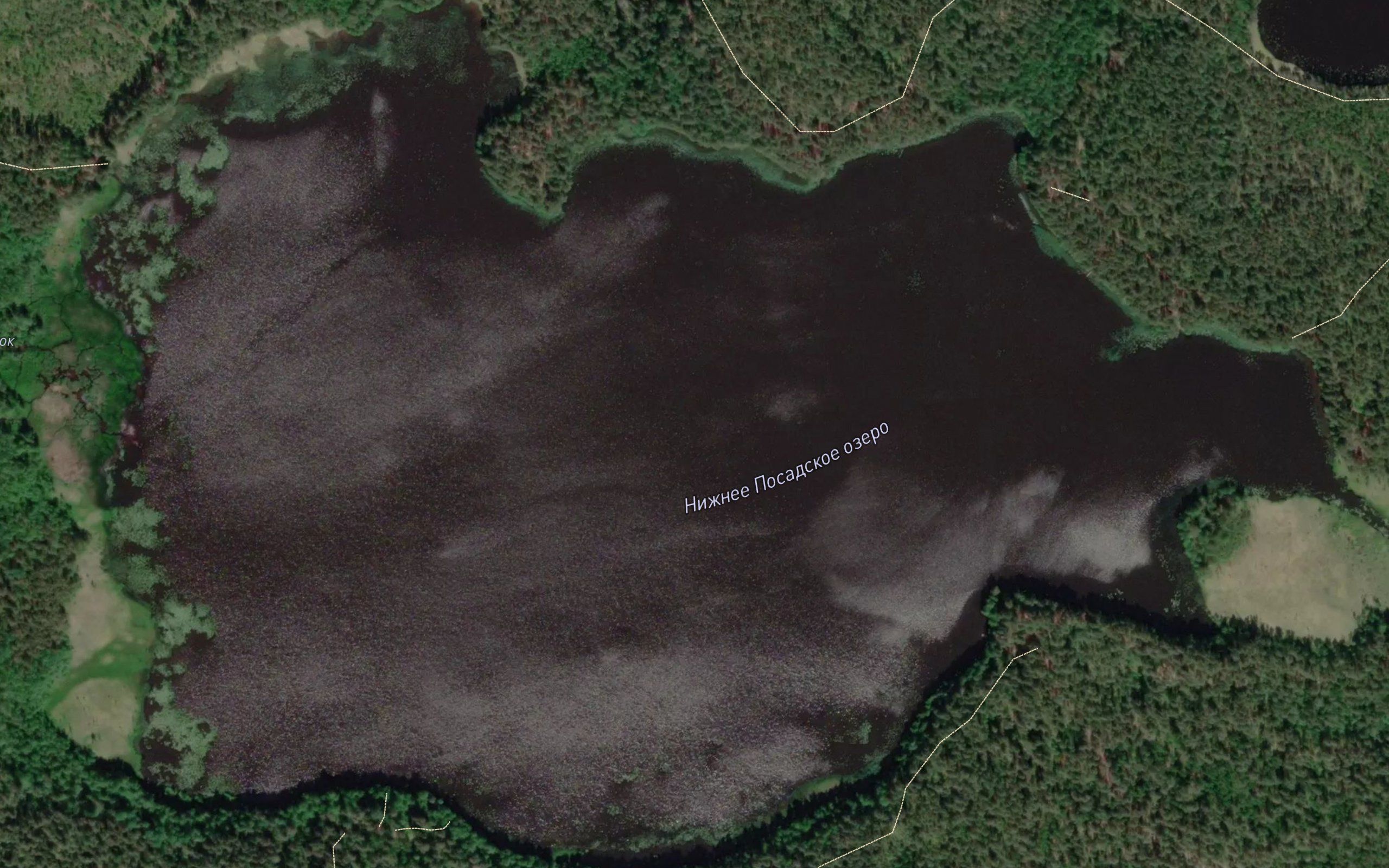 Ozero Nizhneye Posadskoye