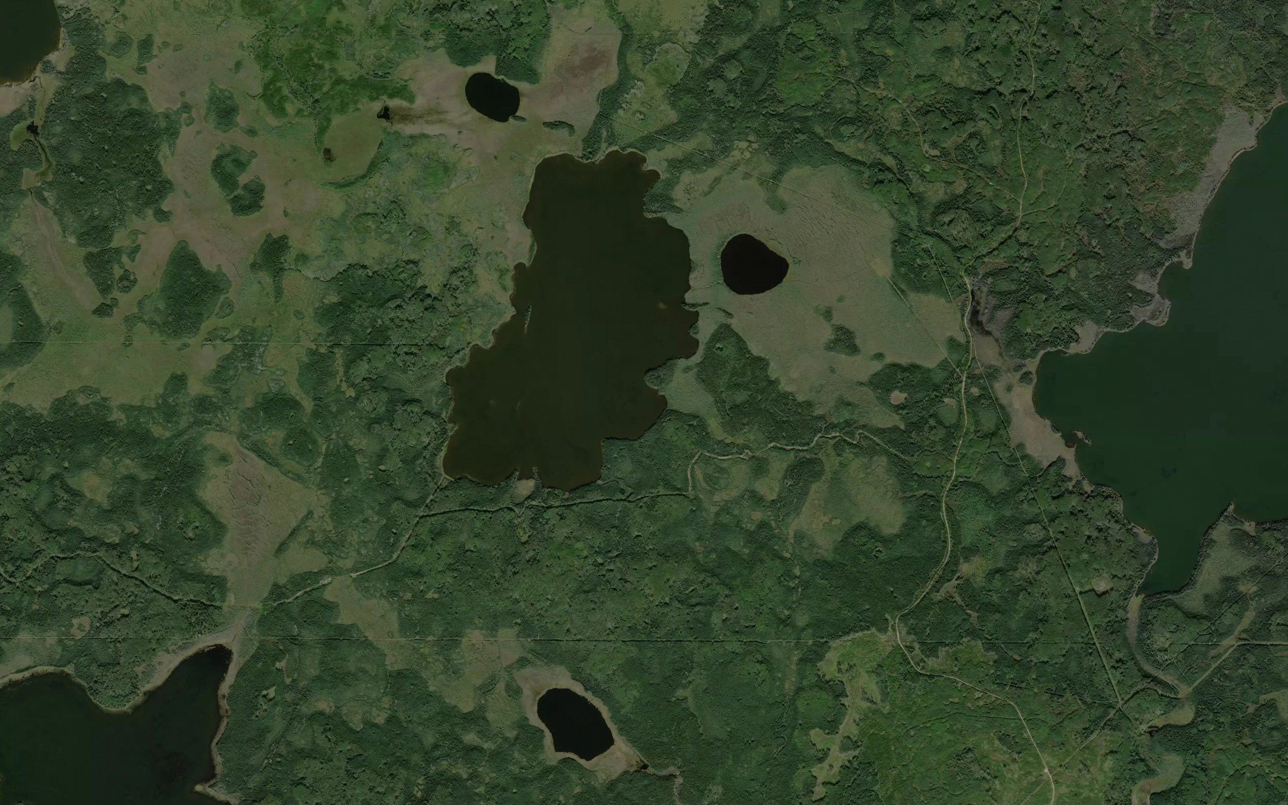 Muskeg Island Lake