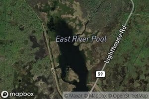 East River Pool