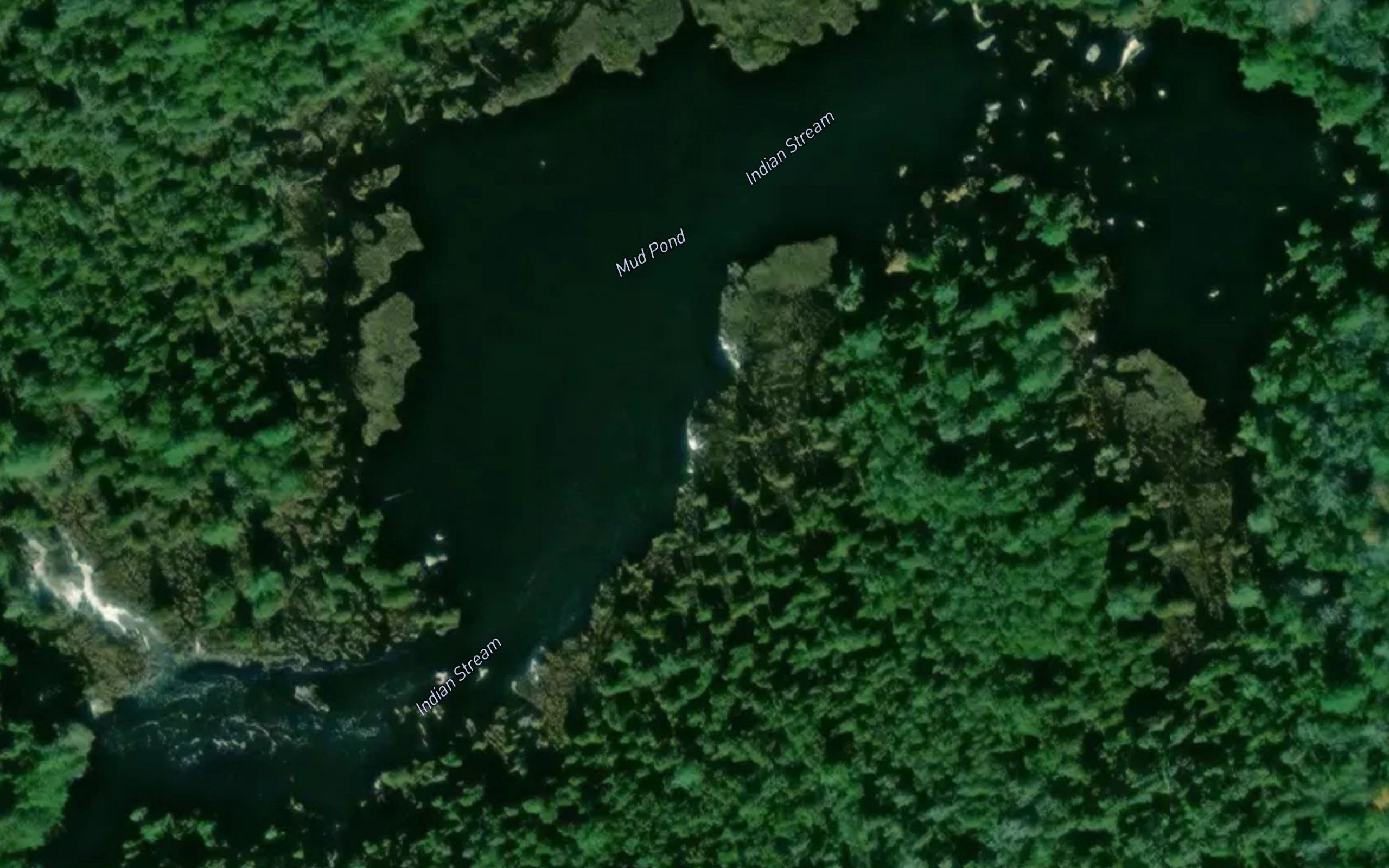 Mud Pond