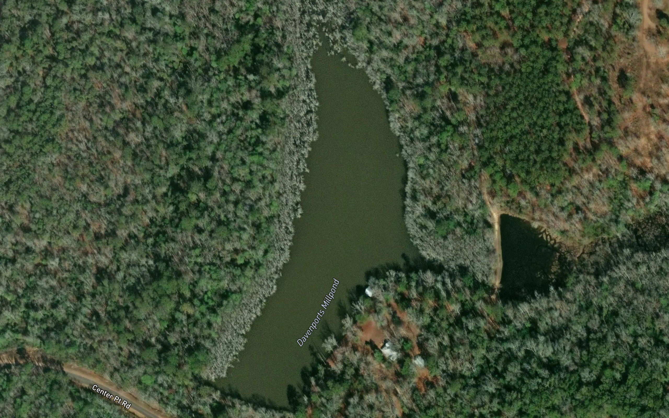 Davenports Millpond