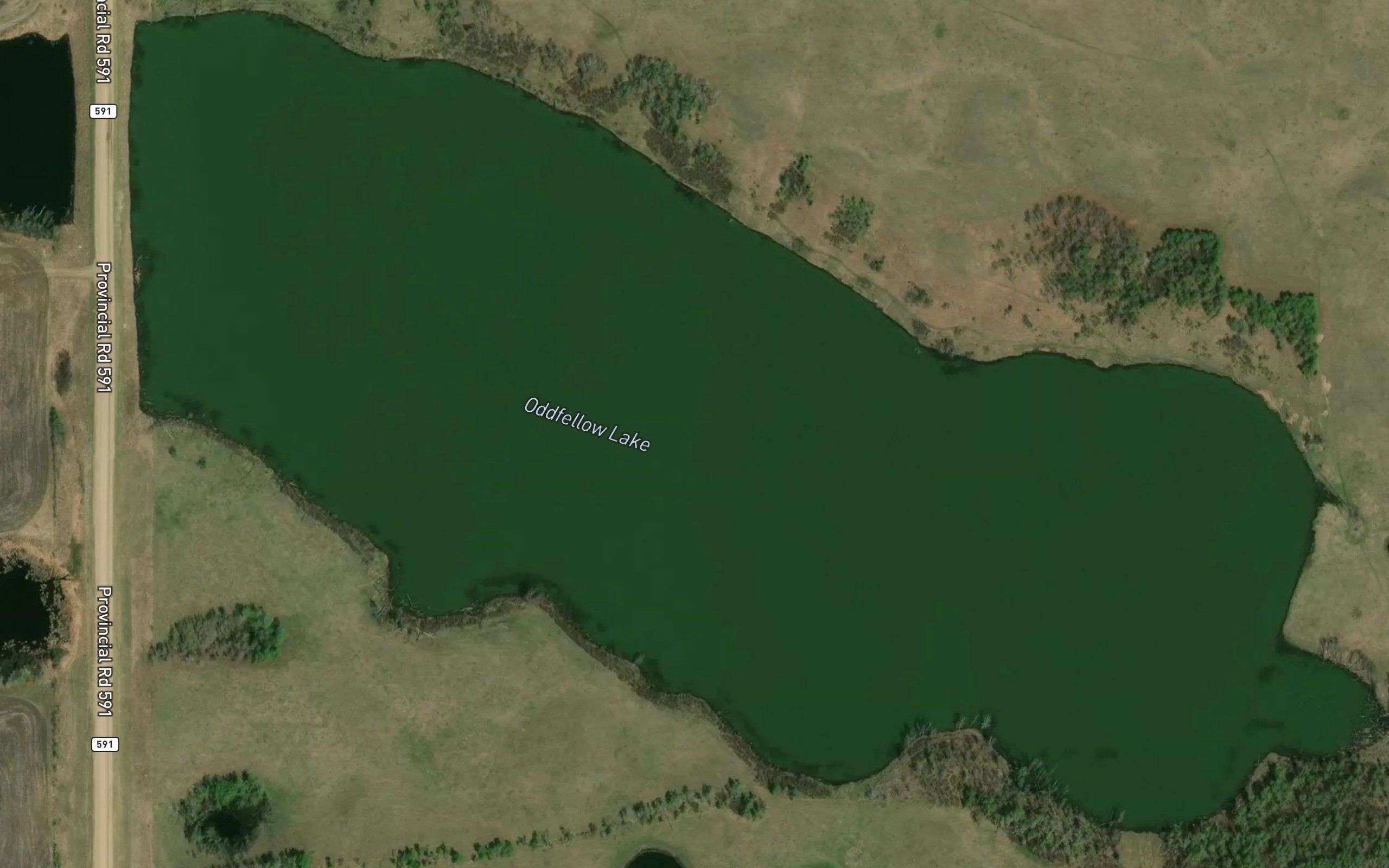 Oddfellow Lake