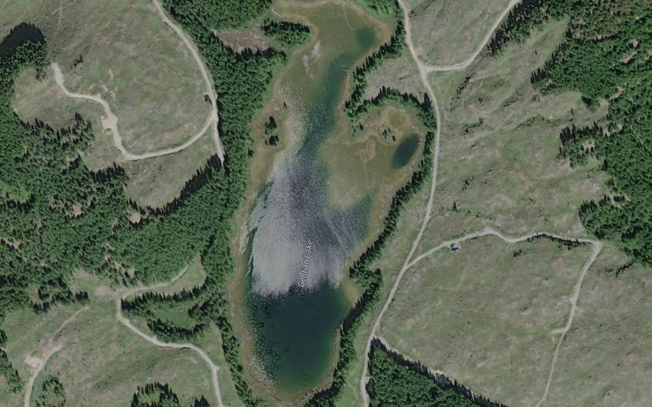 Gentian Lake