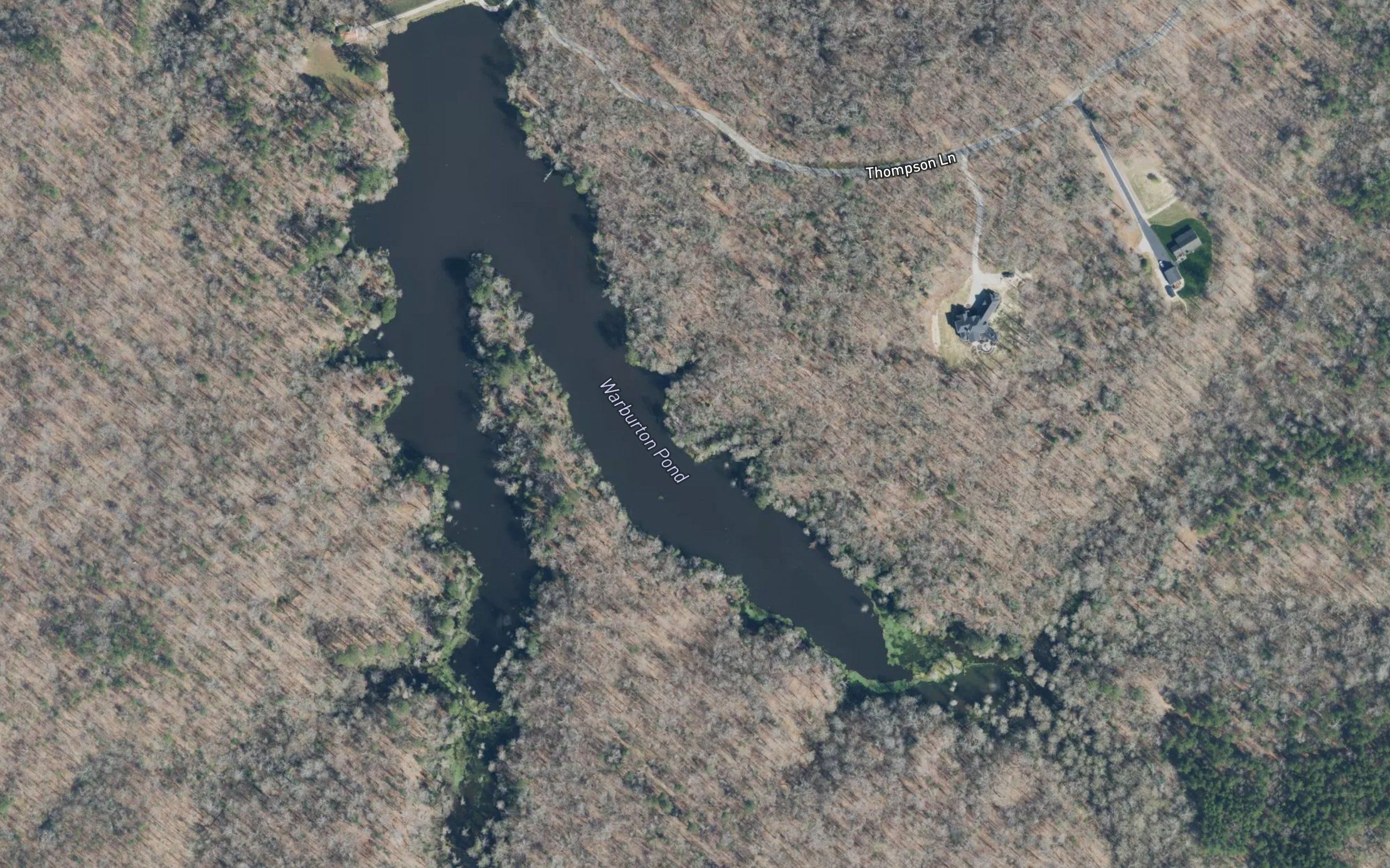 Warburton Pond