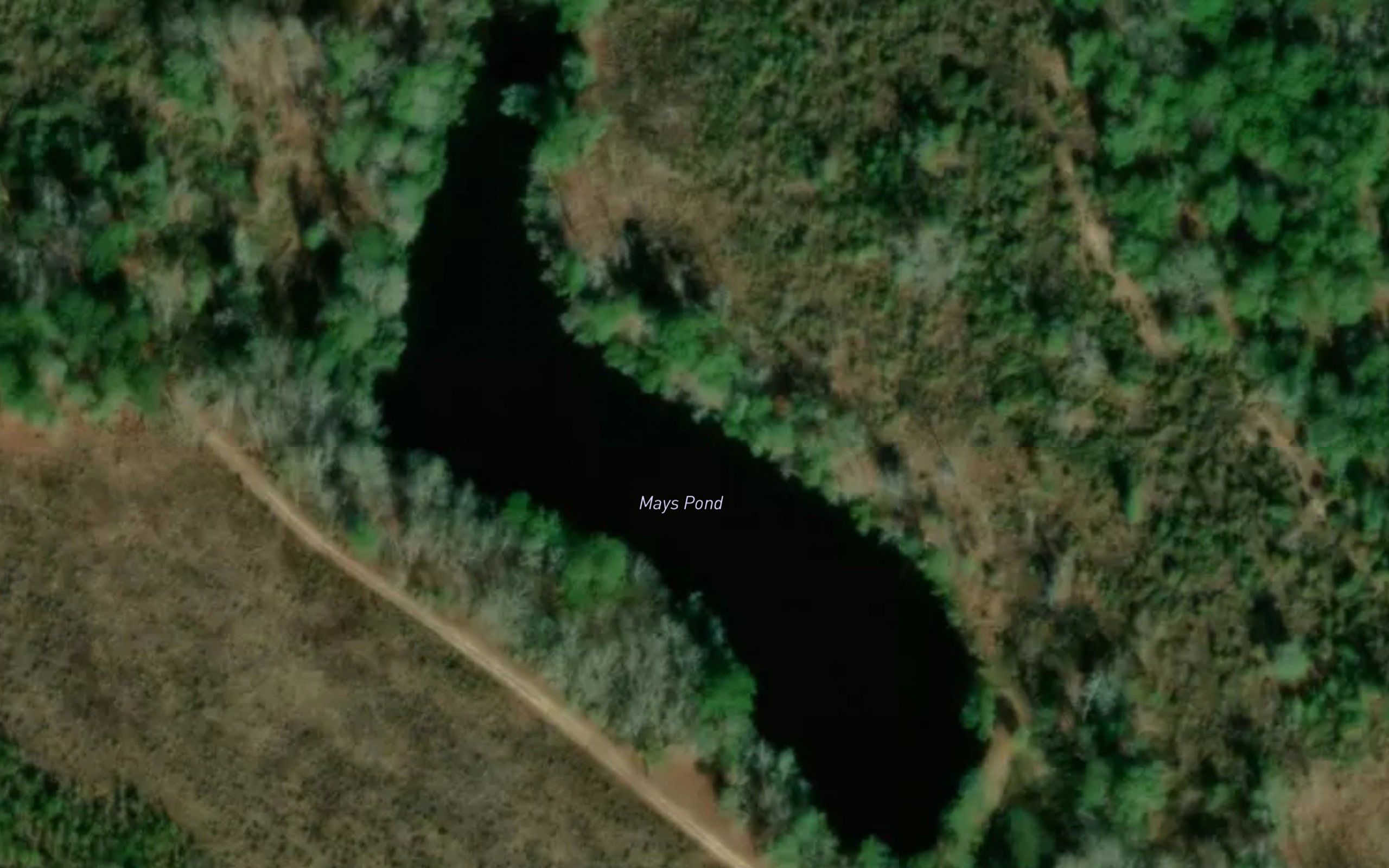 Mays Pond