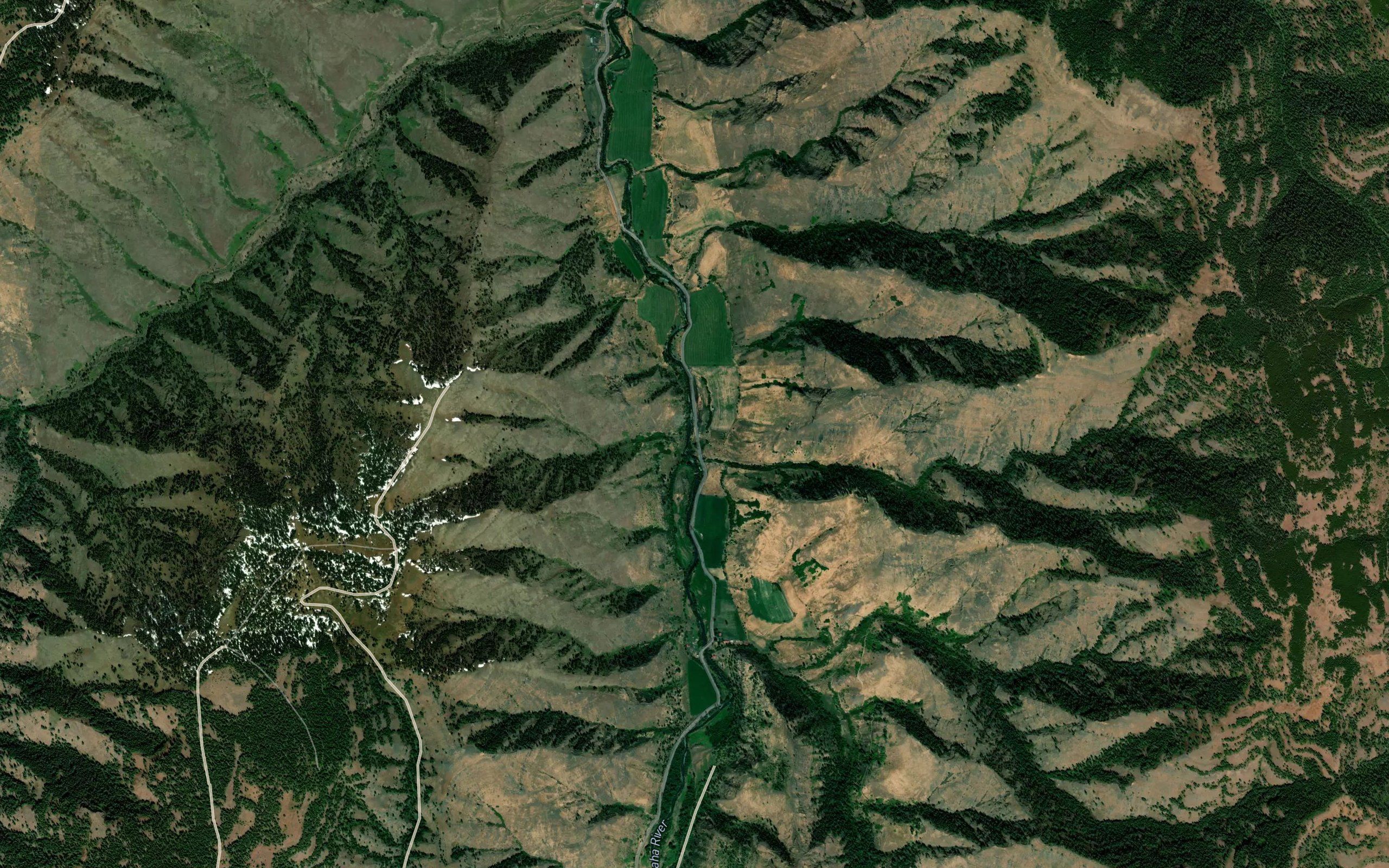 Neil Creek