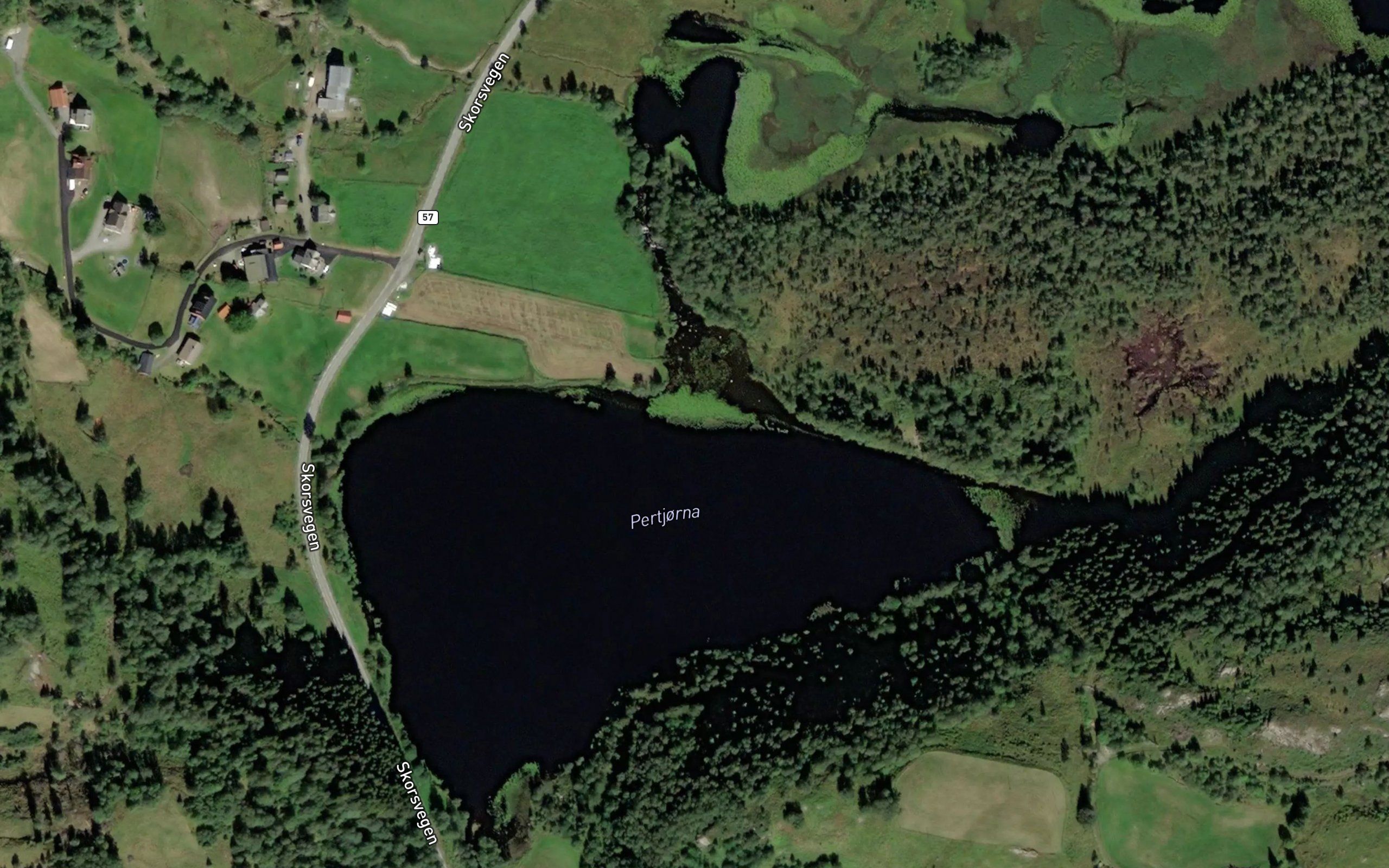 Pertjorna