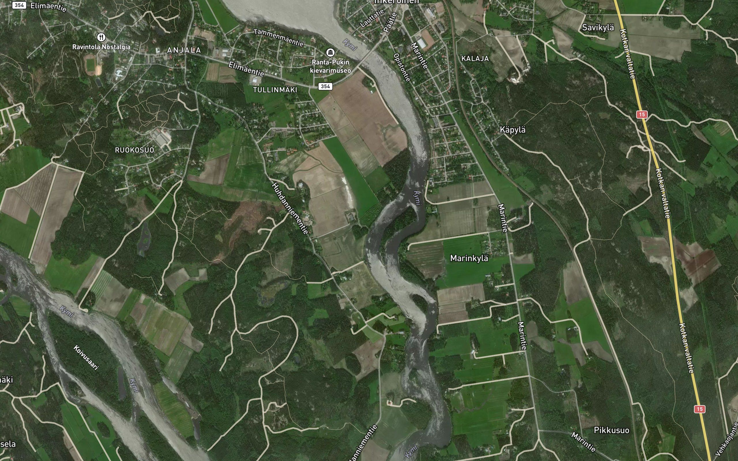 Puranteenviepa