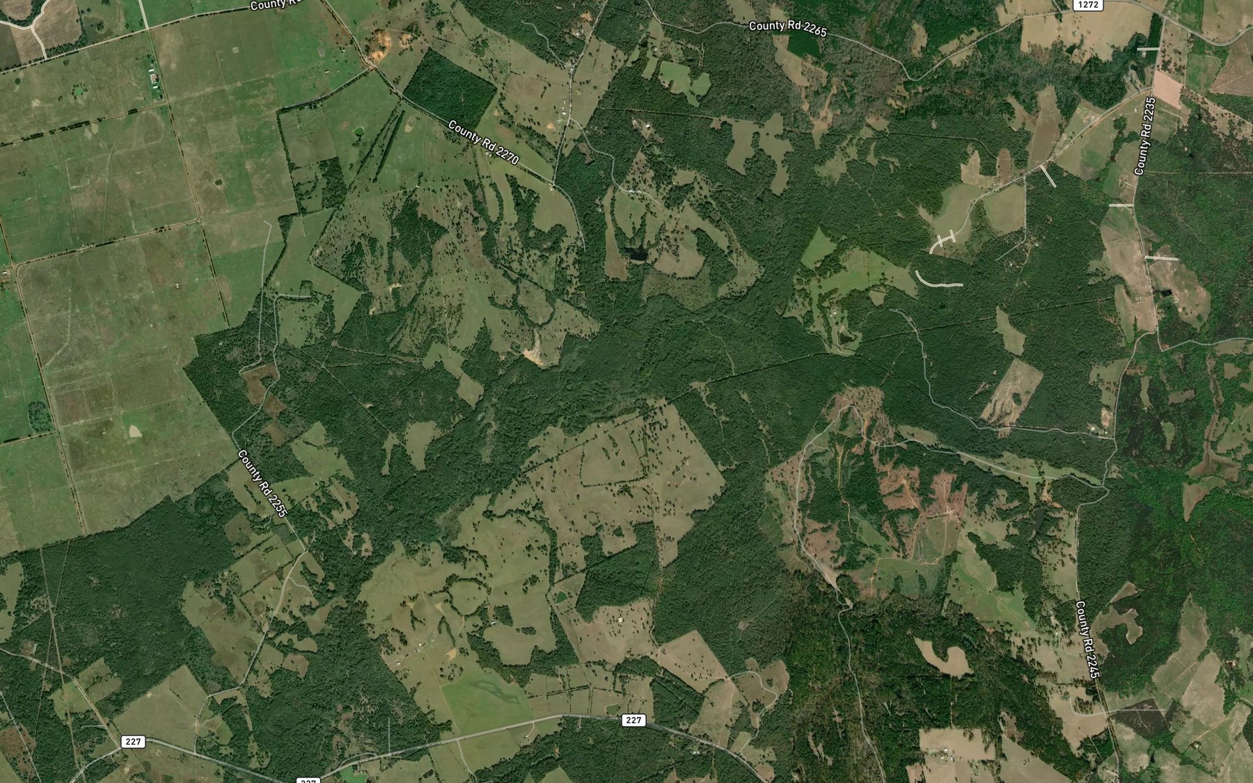 Satellite map of the Murchison Branch