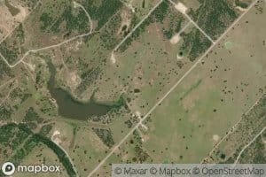 Violets Creek