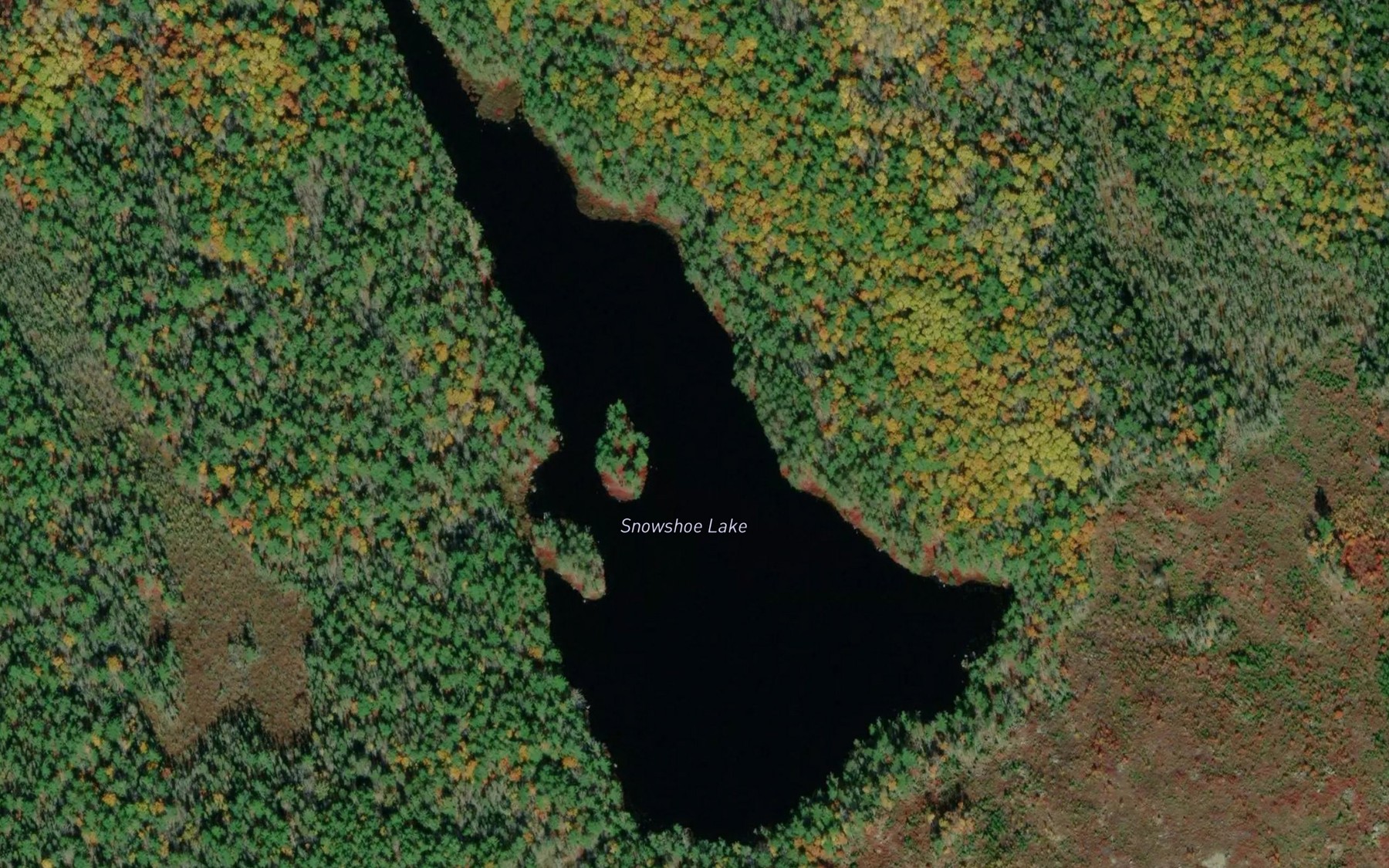 Satellite map of the Snowshoe Lake
