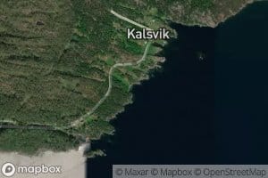Bruvika