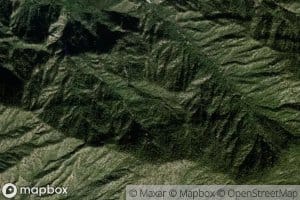 Canada La Palmillosa