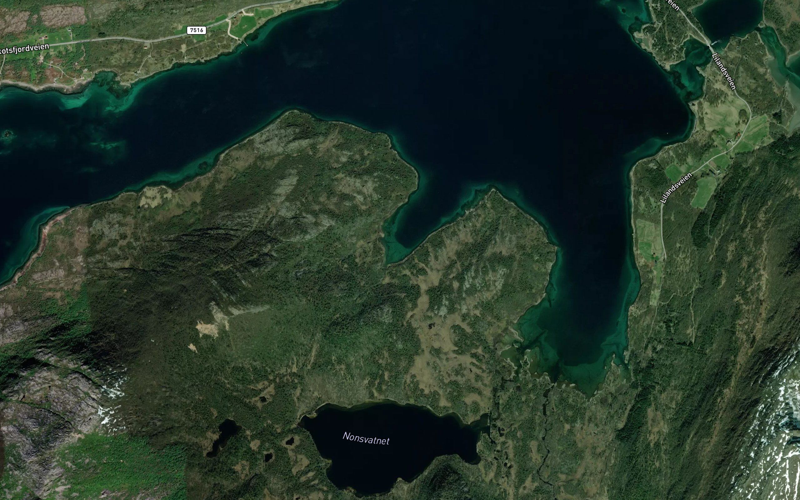 Lamannsvika
