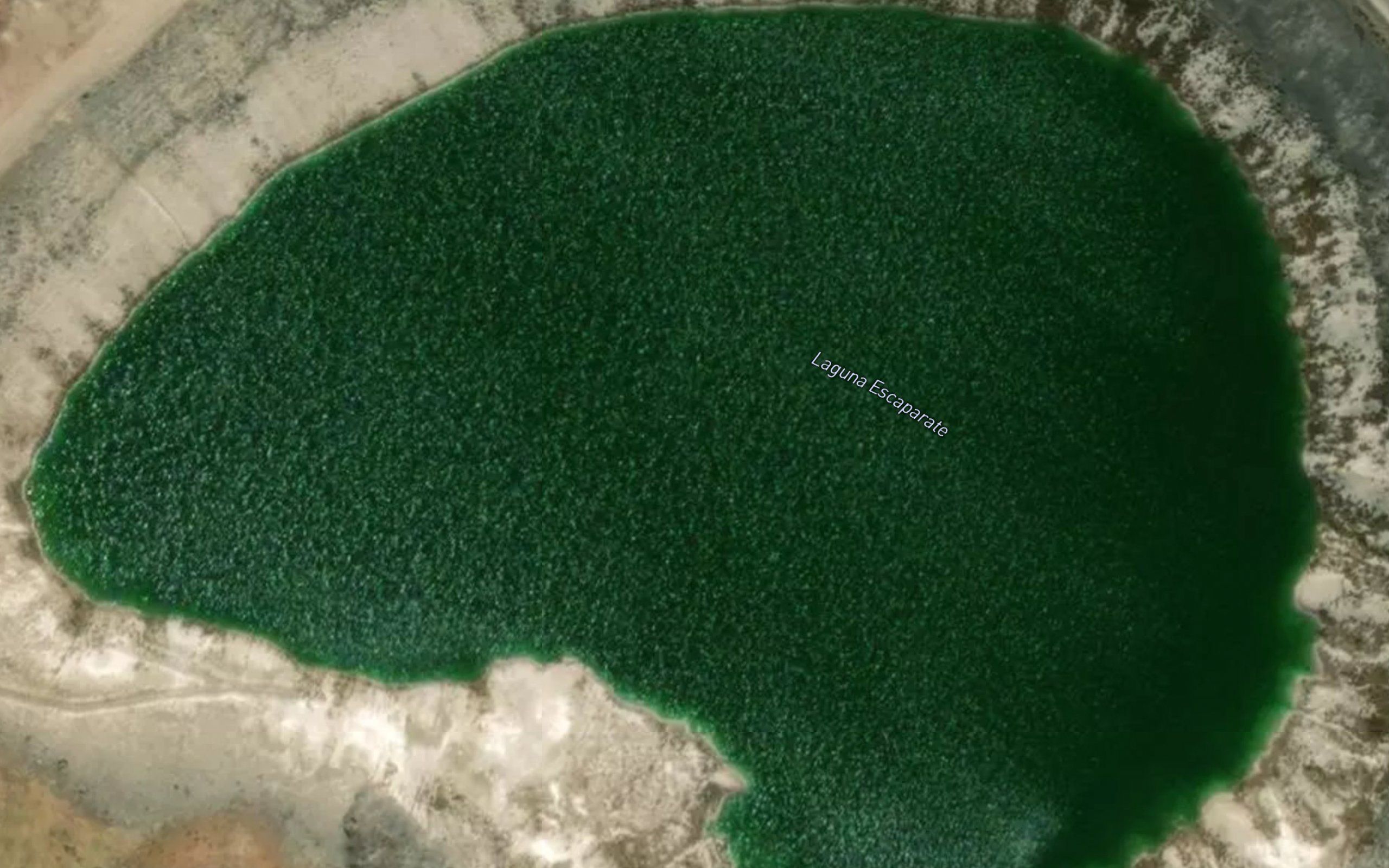 Laguna Escaparate