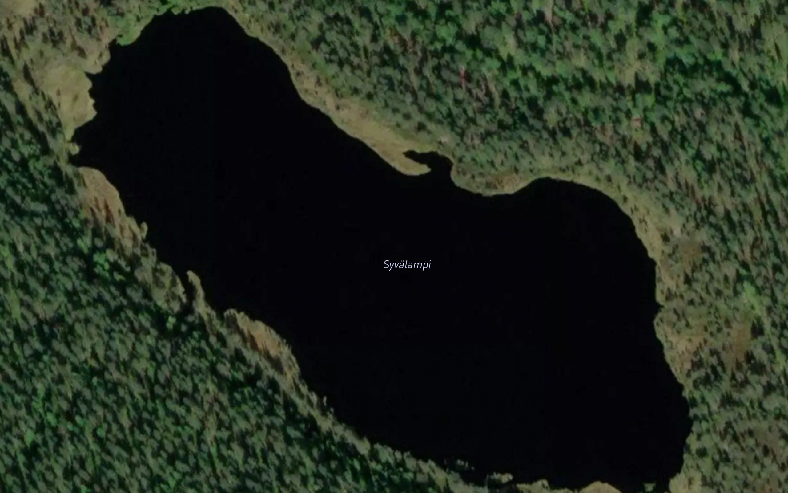 Syvalampi