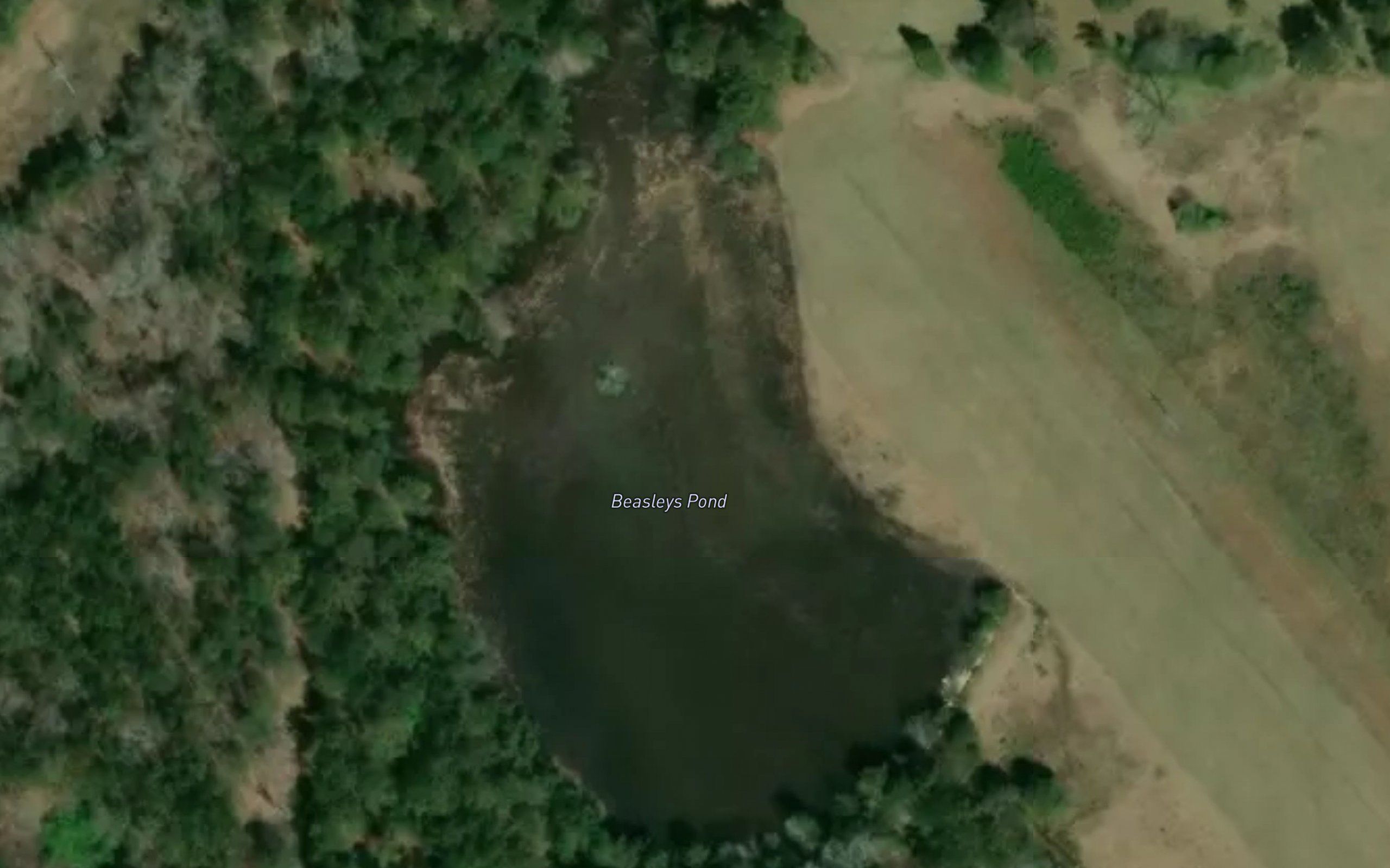 Beasleys Pond