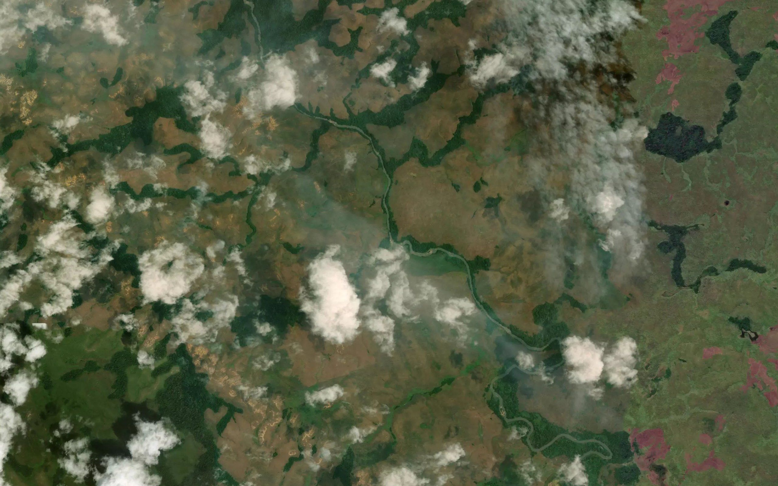 Sava