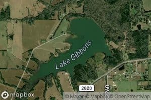 Lake Gibbons