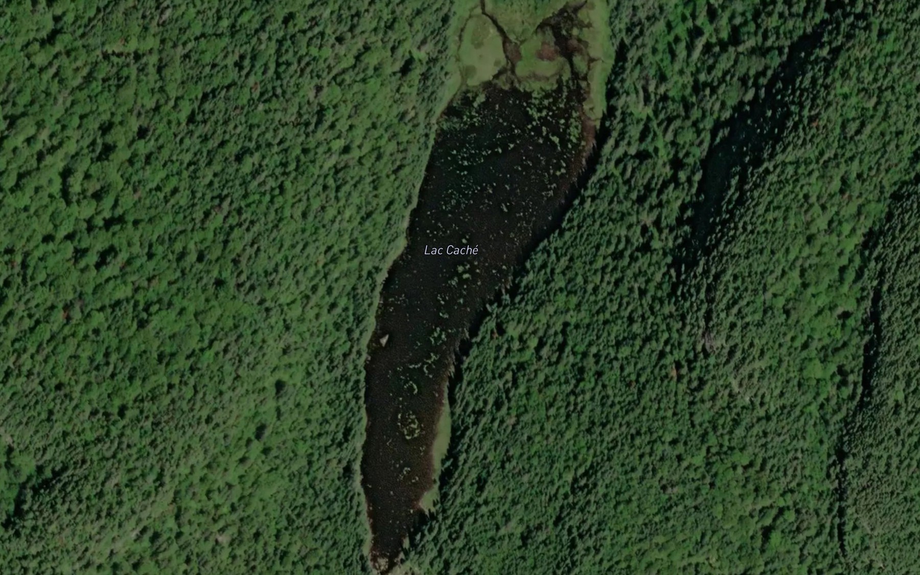 Satellite map of the Lac Cache Nord