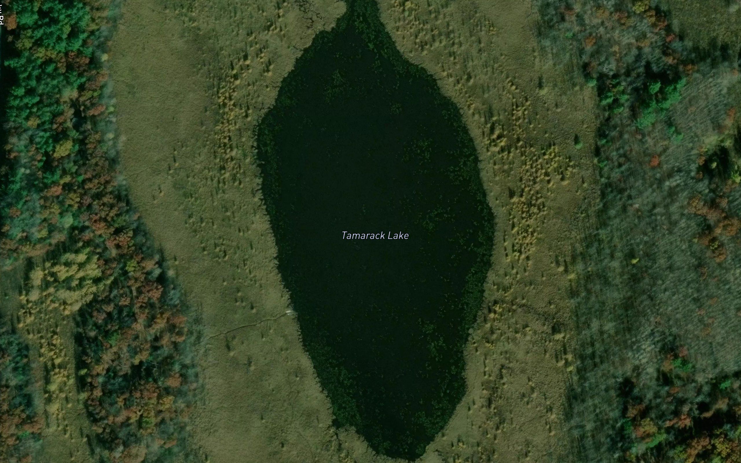 Tamarack Lake