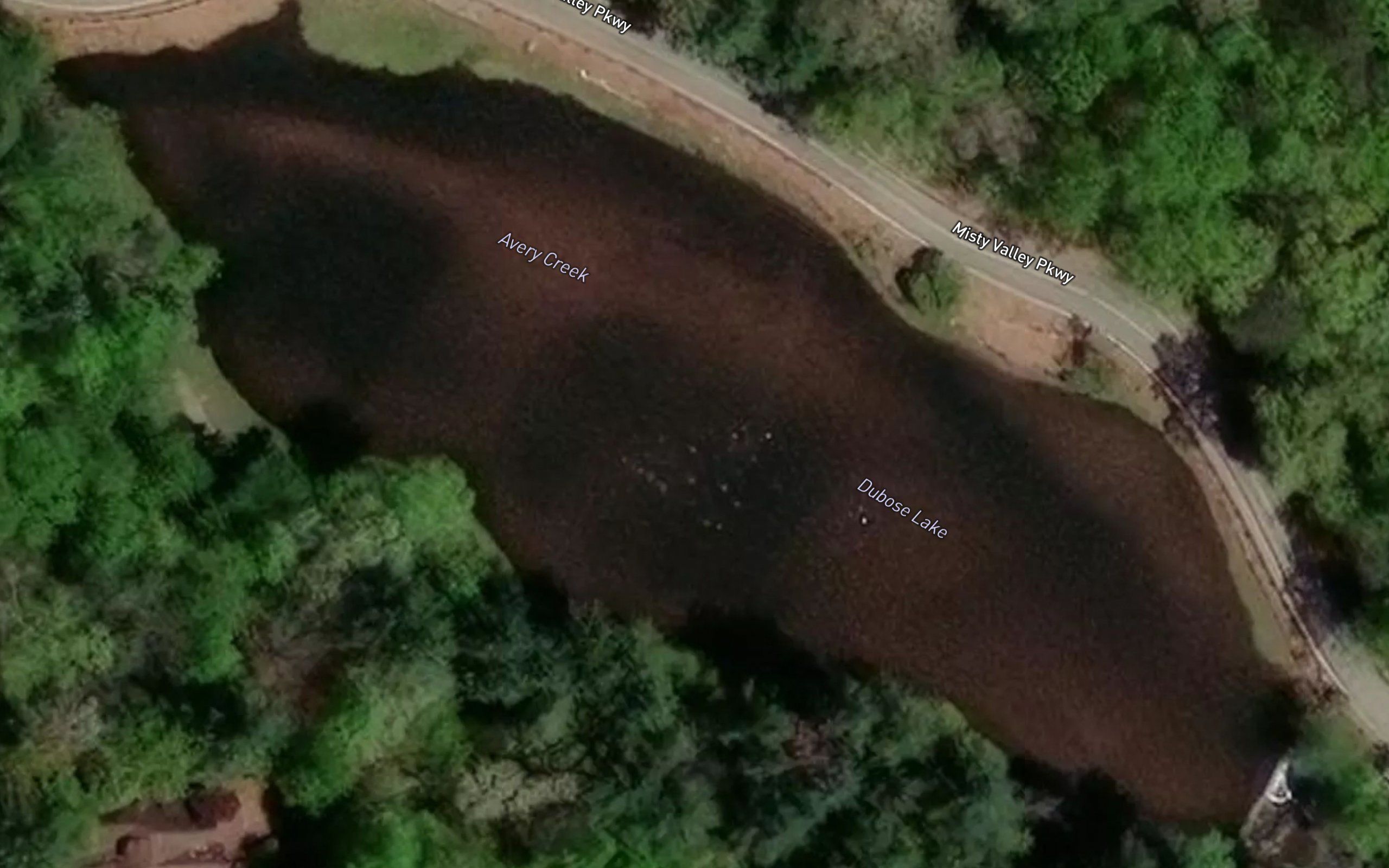 Dubose Lake