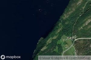 Hammarvika