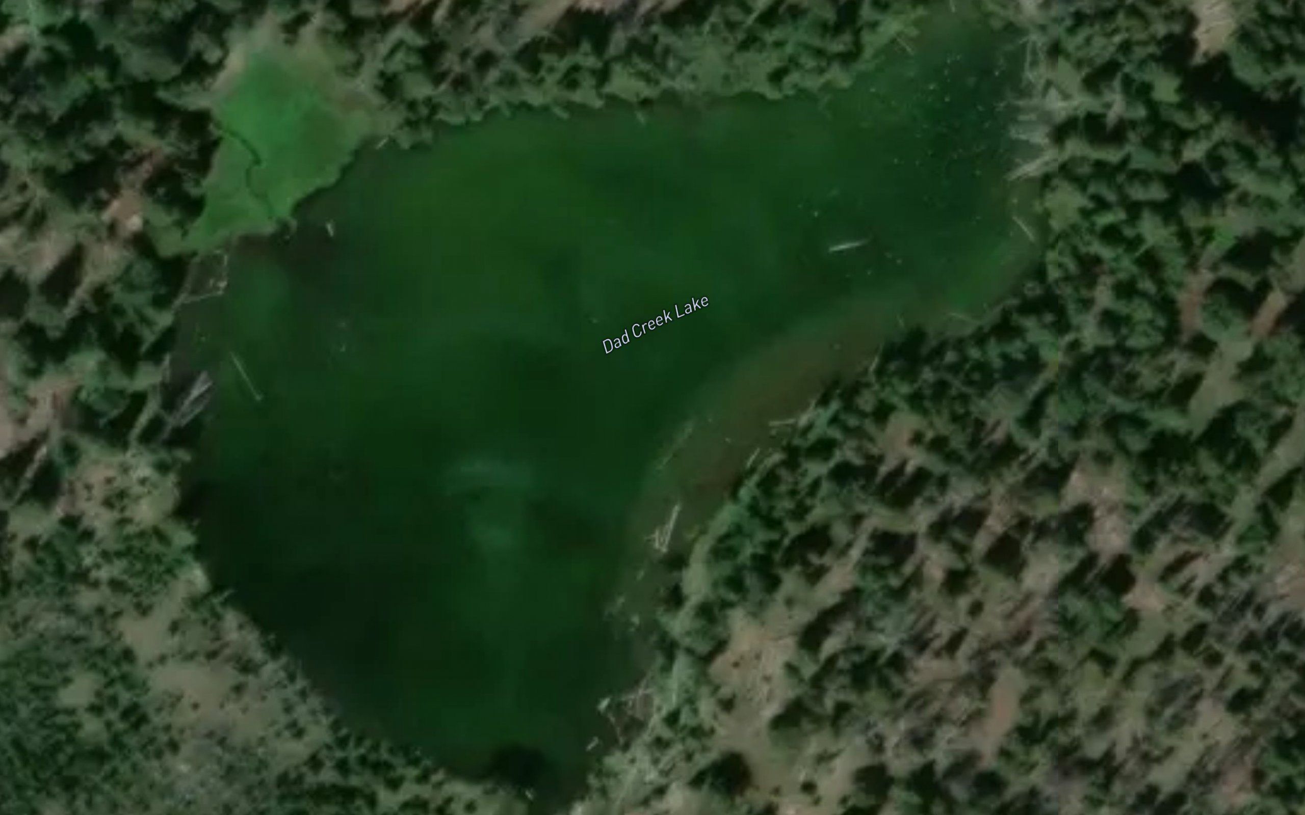 Dad Creek Lake