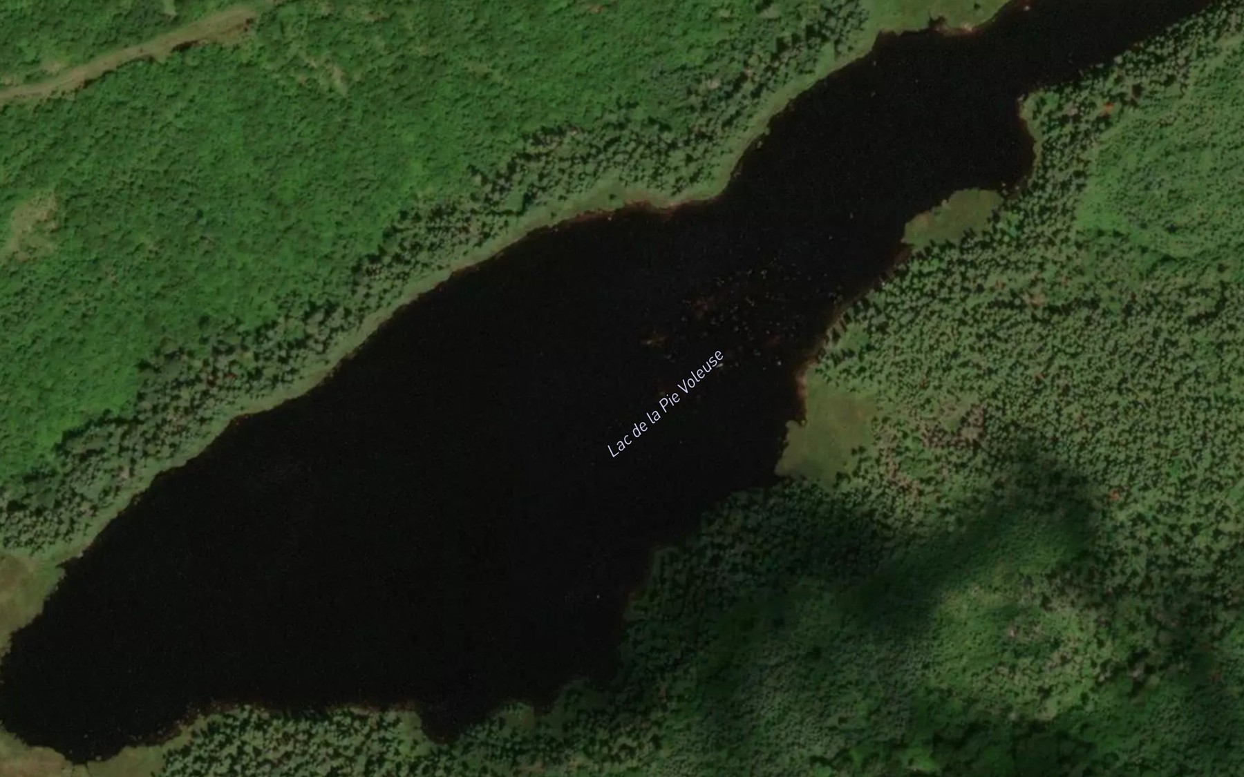 Satellite map of the Lac de la Pie Voleuse