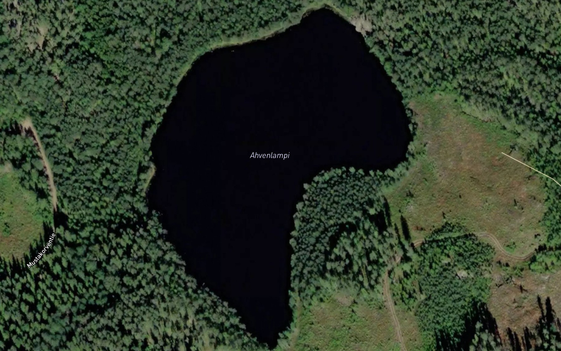 Satellite map of the Ahvenlampi