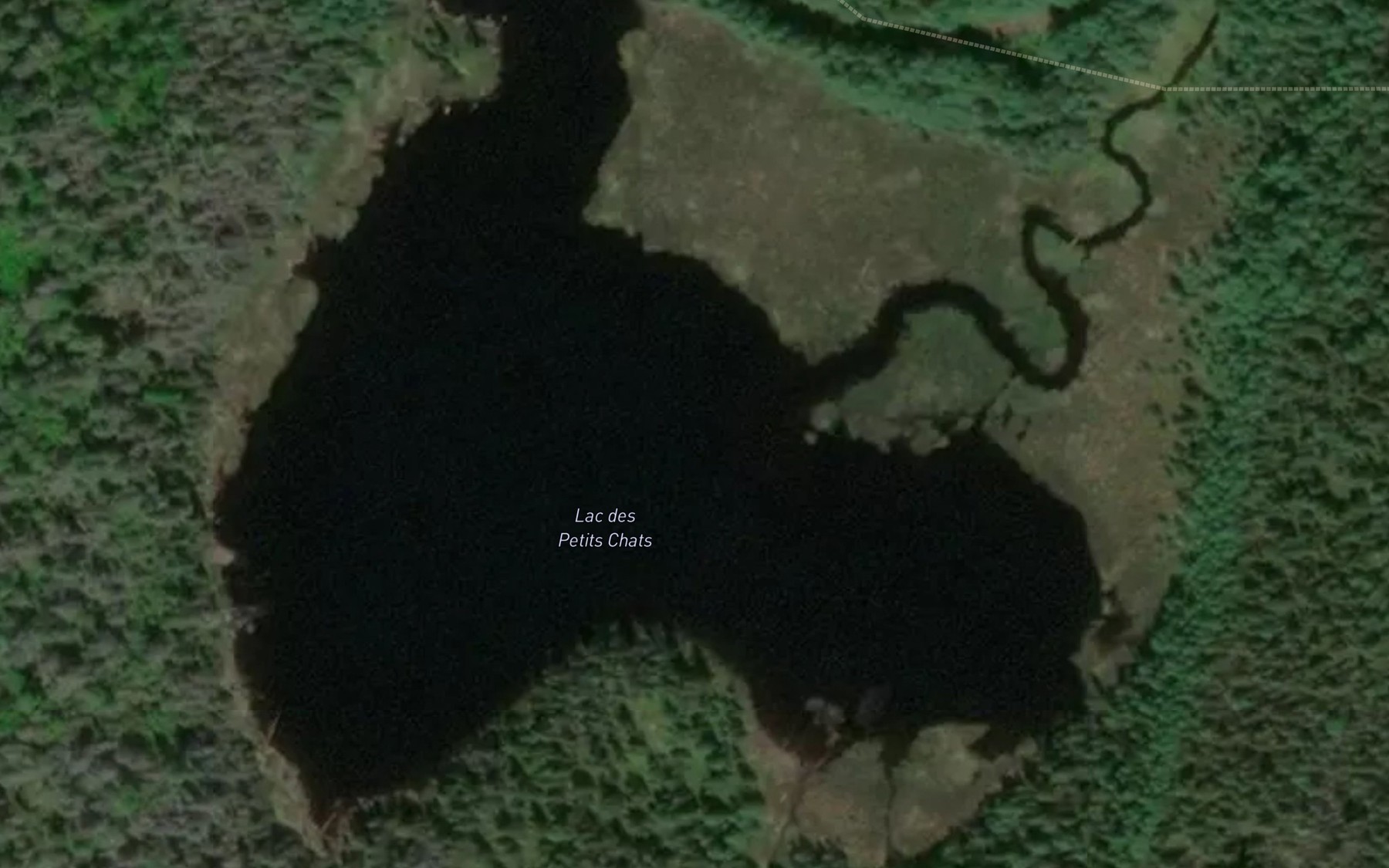 Satellite map of the Lac des Petits Chats