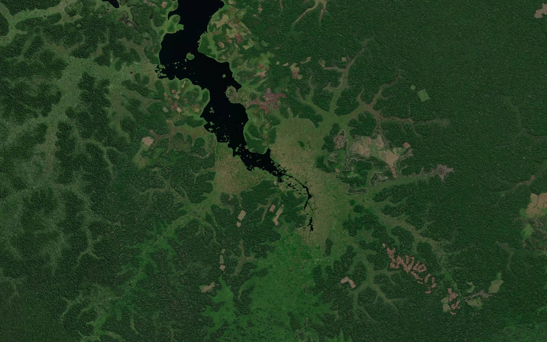 Satellite map of the Quebrada Punga