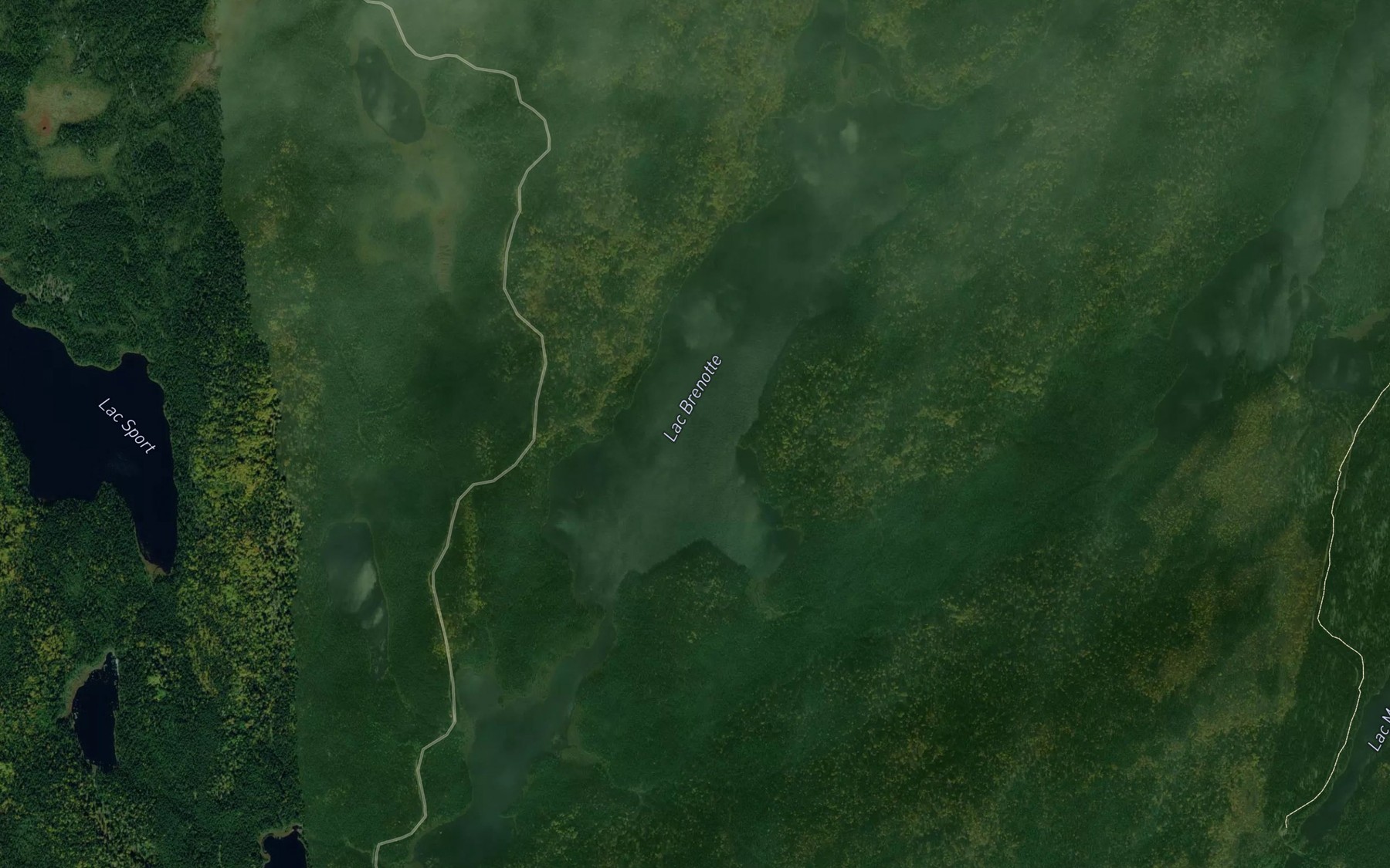 Satellite map of the Lac Brenotte