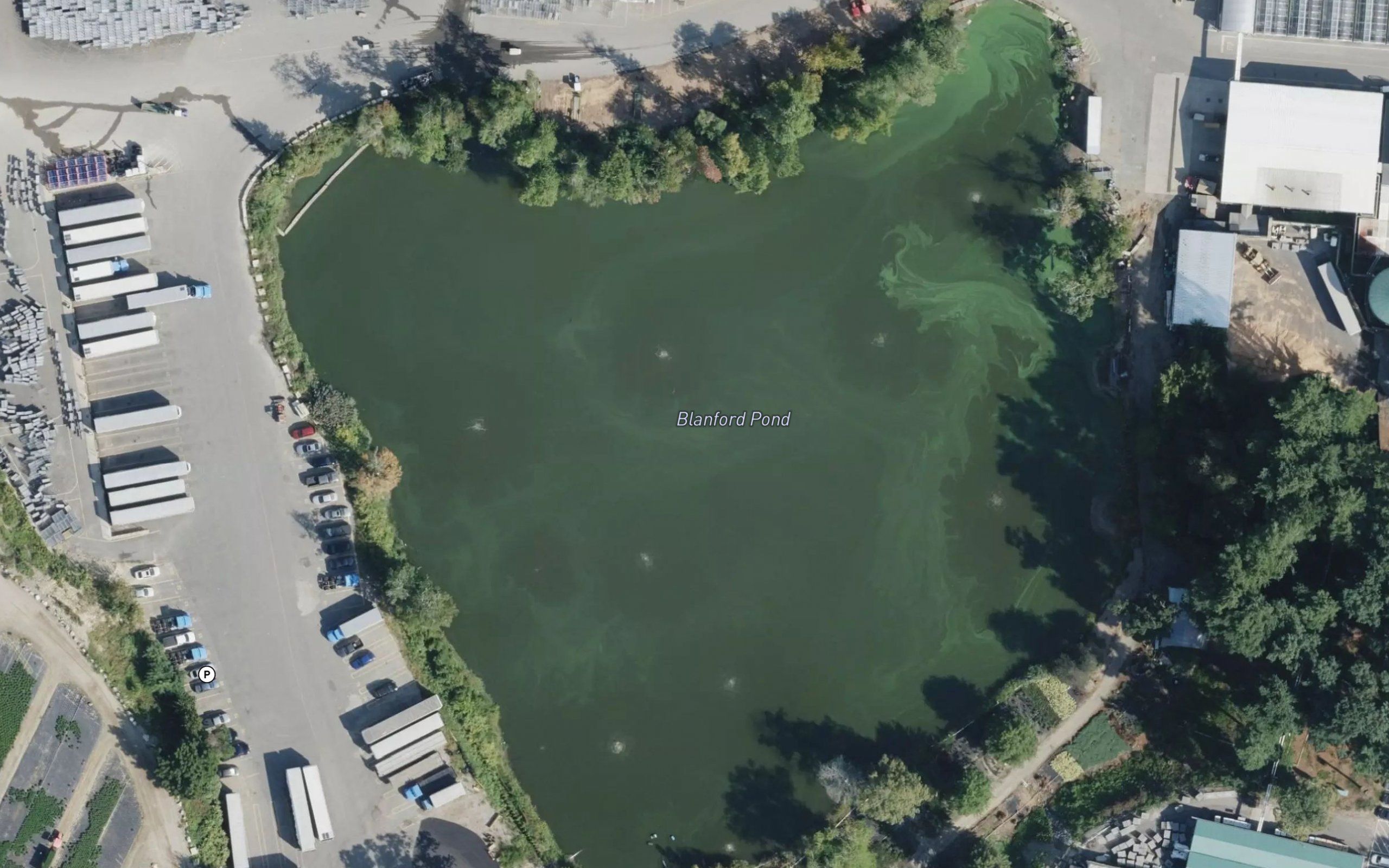 Blanford Pond