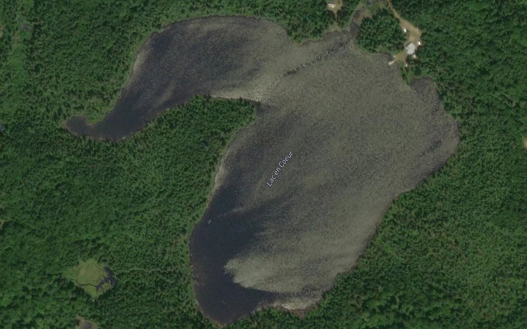 Satellite map of the Lac en Coeur
