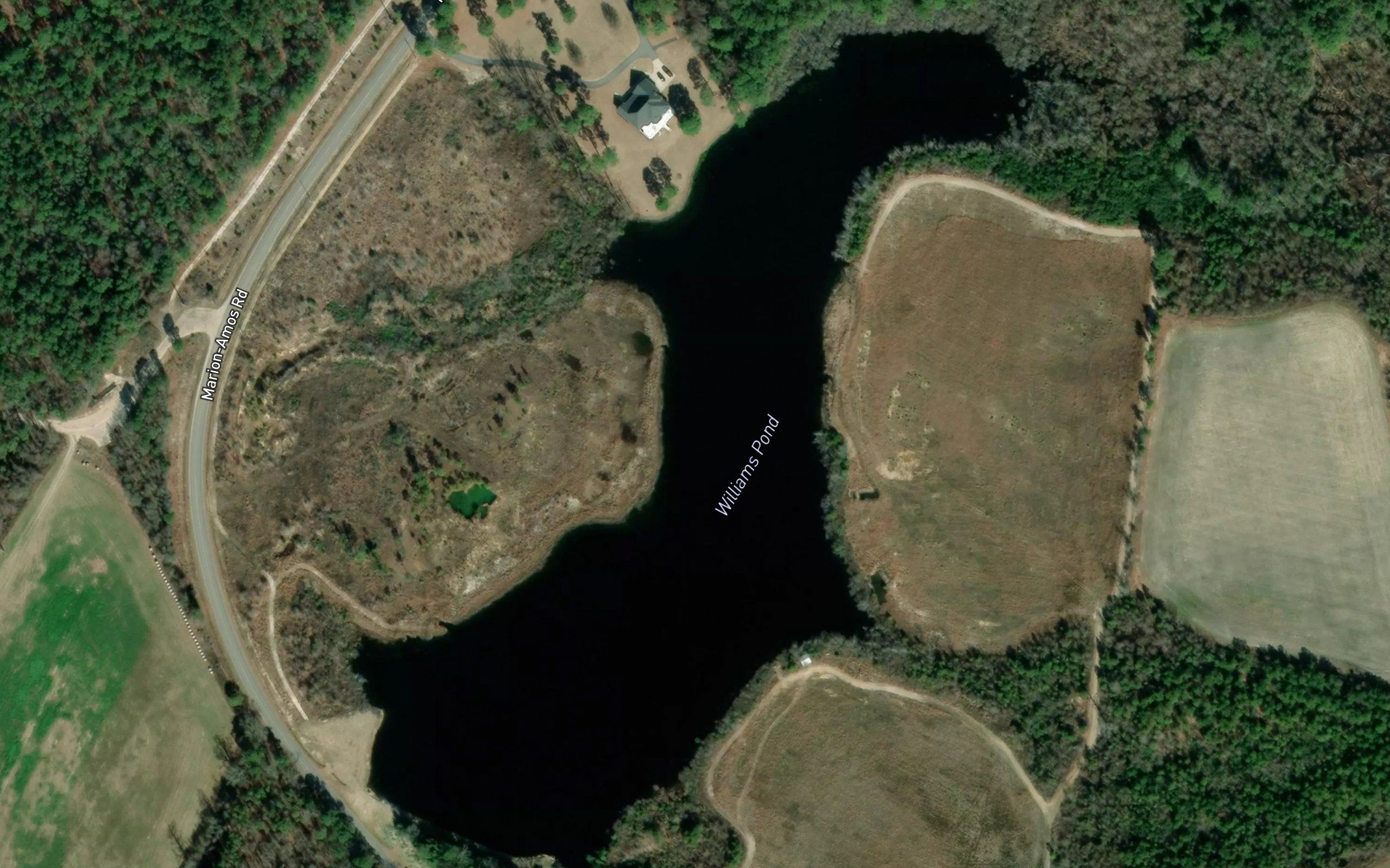 Williams Pond
