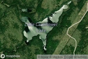 Little Cauliflower Lake